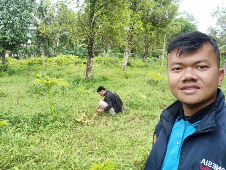Tanggapan Pelaku IKM Porang Atas Pernyataan Kadis KUMKMPP Pandeglang