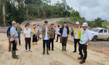 Ada Bayi Pohon Avatar di Tol IKN