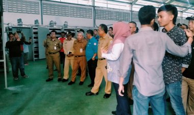 Pandeglang Dirikan SIKM Porang, Akan Gagal Ekspor Tanpa SDM yang Mumpuni