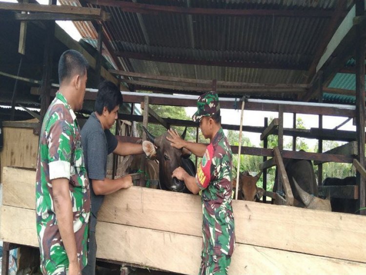 Jalin Silaturahmi, Babinsa Mapurujaya Komsos Dengan Peternak Sapi