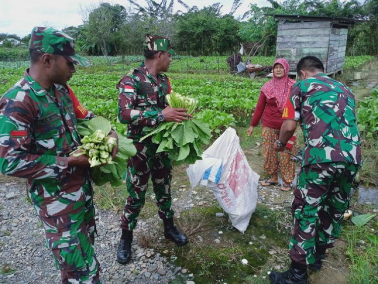 Wujudkan Program Ketapang, Babinsa Koramil 1710-02/Timika Terus Dampingi Petani di Wilayah Binaan