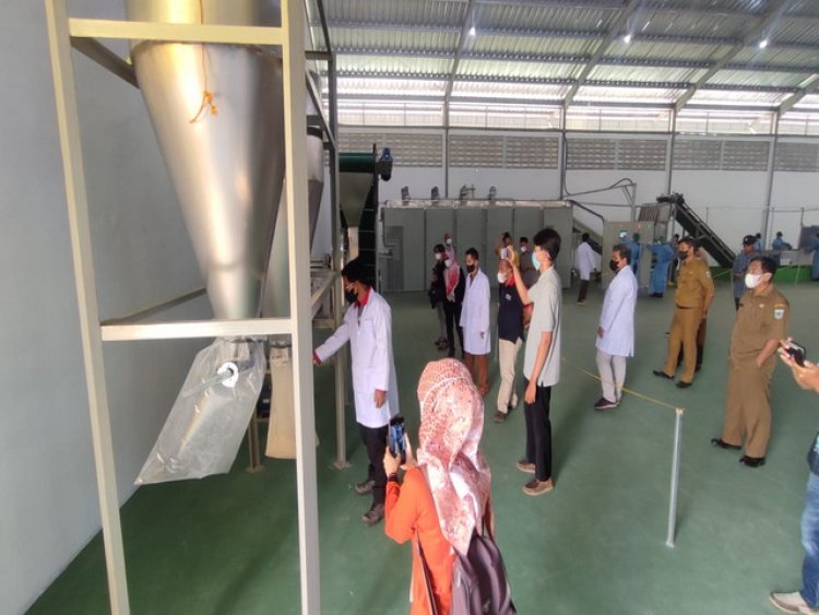 Kaitan SIKM Porang, Kebijakan Pemda Pandeglang Berikan Janji Palsu Pada IKM