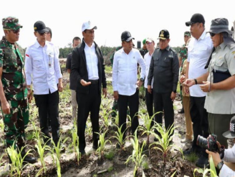 Berkunjung ke Palangka Raya, Wamenhan M. Herindra Tinjau Lokasi Food Estate 
