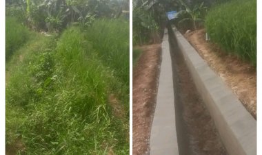 Realisasi Fisik DD Tahap 2 Di Desa Mekarjaya Kec. Cikedal Telah Selesai Dilaksanakan 