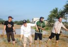 Kementrian Pertanian lakukan Percepatan Tanam Padi Sawah di Kecamatan Munjul Kabupaten Pandeglang