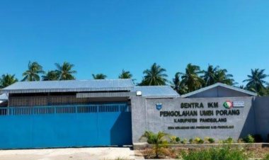 SIKM Porang Panimbang Tidak jalas Arahnya, GMCP Meminta Pihak APH Periksa Mantan Kepala Dinas KUKMPP dan Dinas Pertanian