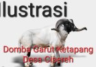 DPC Amira Pandeglang, Laporkan Pj. Kades Cisereh Terkait Dugaan Manipulasi Dana Desa Tahun 2024