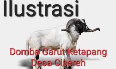 DPC Amira Pandeglang, Laporkan Pj. Kades Cisereh Terkait Dugaan Manipulasi Dana Desa Tahun 2024