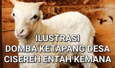 DPC Amira Pandeglang, Akan Layangkan Lapdu & Aksi Unras Terkait Ketapang DD Cisereh Cisata, Usai Audiensi