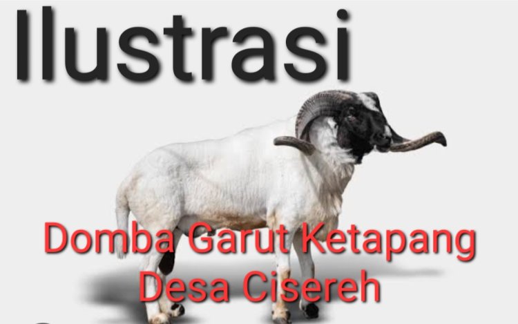 DPC Amira Pandeglang, Laporkan Pj. Kades Cisereh Terkait Dugaan Manipulasi Dana Desa Tahun 2024