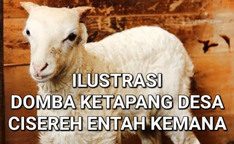 DPC Amira Pandeglang, Akan Layangkan Lapdu & Aksi Unras Terkait Ketapang DD Cisereh Cisata, Usai Audiensi