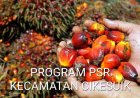 Program PSR Desa Tanjungan Cikeusik, Disoal Aktivis GMPB