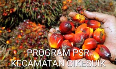 Program PSR Desa Tanjungan Cikeusik, Disoal Aktivis GMPB