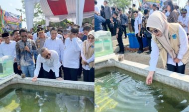 DPC AMIRA Pandeglang, Menyesalkan Panitia Tidak Memasang Poto Wabup Pada Rakorda Didesa Kertasana Pagelaran