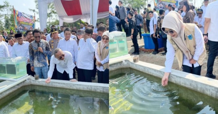 DPC AMIRA Pandeglang, Menyesalkan Panitia Tidak Memasang Poto Wabup Pada Rakorda Didesa Kertasana Pagelaran