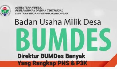 DPC GWI Pandeglang Meminta Kepada DPMPD & BKPSDM Pandeglang Evaluasi Direktur BUMDes Yang Rangkap PNS, P3K & Pamong Desa