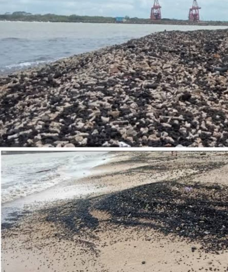 PT. MBI Timbun Batu Bara Di Pulau Popole Diduga Hilangkan Barang Bukti & Cemari Lingkungan, DPC GWI Pandeglang Ini Jelas Melanggar Hukum