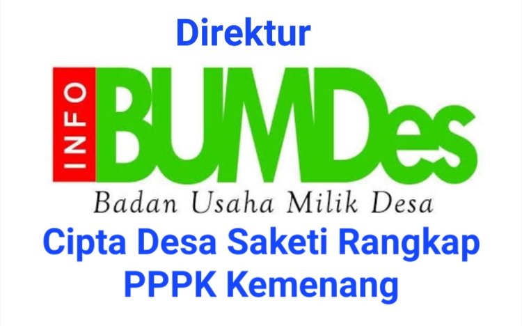 Rangkap ASN PPPK Kemenang, Direktur BUMDes Cipta Saketi Di Soal Aktivis