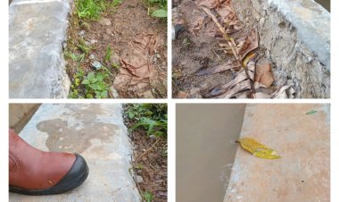 Tak Ada Papan Informasi, Pekerjaan Diduga Asjad, Kelompok Tani: Sudah Koordinasi Dengan Korluh