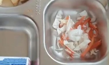 GOWI Bongkar Dugaan Menu Tak Layak dalam Program MBG