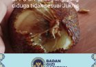 Kelayakan Dapras SPPG di Pandeglang Meragukan, DPC AMIRA Minta BGN Lakukan Evaluasi & Audit Langsung