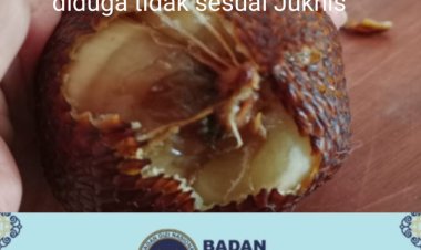 Kelayakan Dapras SPPG di Pandeglang Meragukan, DPC AMIRA Minta BGN Lakukan Evaluasi & Audit Langsung