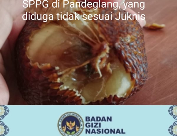 Kelayakan Dapras SPPG di Pandeglang Meragukan, DPC AMIRA Minta BGN Lakukan Evaluasi & Audit Langsung