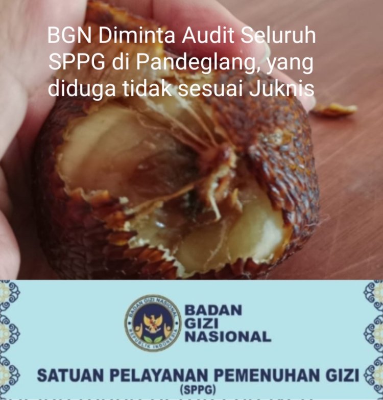 Kelayakan Dapras SPPG di Pandeglang Meragukan, DPC AMIRA Minta BGN Lakukan Evaluasi & Audit Langsung