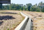 Berkat Aspirasi Drs.Ahmad Fauzi, Dua Proyek P3-TGAI Di Desa Padahayu Cikedal Selesai Dikerjakan, Waga Ucapkan Terimakasih