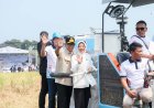 Gubernur Andra Soni Dorong Kolaborasi Wujudkan Swasembada Pangan Saat Panen Raya Padi Organik PS-08