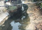 Diduga Cemari Sungai Rusak Lingkungan Hidup, Perusahaan Tambak Udang di Desa Sukarame di Keluhkan Warga