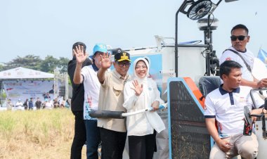 Gubernur Andra Soni Dorong Kolaborasi Wujudkan Swasembada Pangan Saat Panen Raya Padi Organik PS-08
