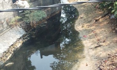 Diduga Cemari Sungai Rusak Lingkungan Hidup, Perusahaan Tambak Udang di Desa Sukarame di Keluhkan Warga
