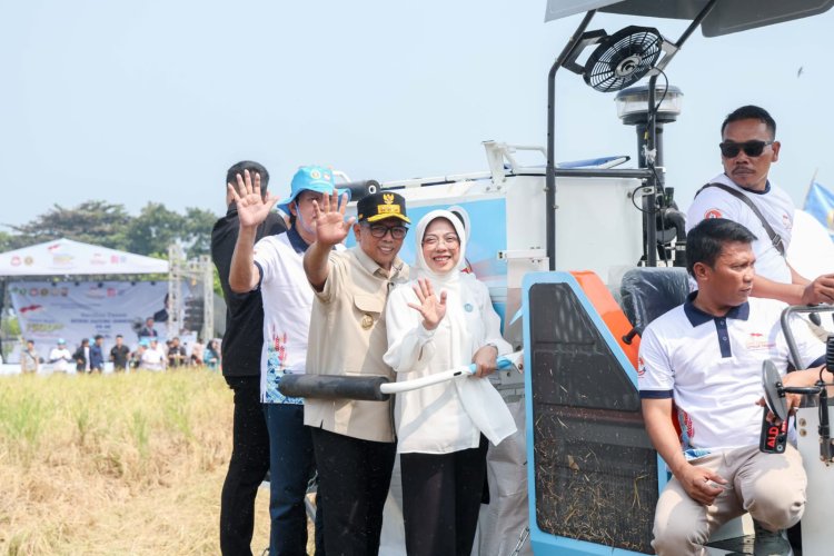 Gubernur Andra Soni Dorong Kolaborasi Wujudkan Swasembada Pangan Saat Panen Raya Padi Organik PS-08