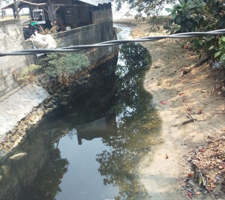 Diduga Cemari Sungai Rusak Lingkungan Hidup, Perusahaan Tambak Udang di Desa Sukarame di Keluhkan Warga